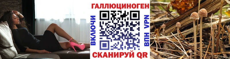 Галлюциногенные грибы мухоморы  магазин продажи   Сасово 