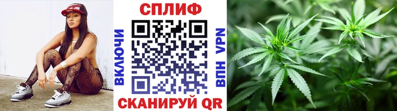 Шишки марихуана Amnesia  цены наркотик  Сасово 